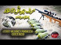 7 Green Pigeons hunting  with Airgun || Hariyal ka shikar || Punai hunting 2022 #izhunters