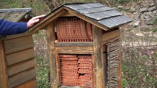 Leverkusen: Bienenstation auf Gut Ophoven (19.03.2020)