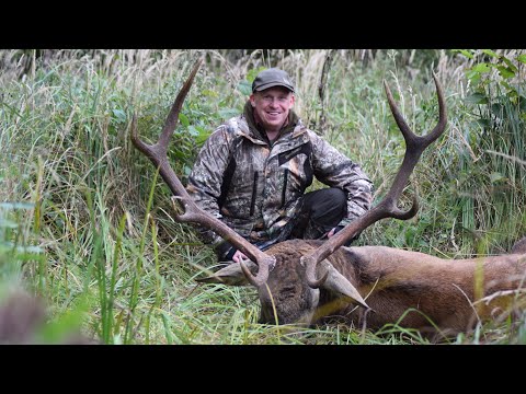 Alter Achter in Litauen erlegt