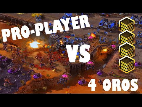 PRO PLAYER VS 4 OROS