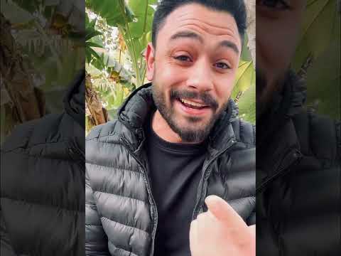 لو عاد معتذراً ️ عن عزة النفس فارس قطريه fares katrya