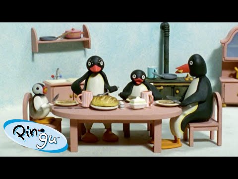 Pingu Loves His Family| Pingu – Official Channel | Cartoons For Kids 🐧 - Kids (0-4), Kingdom Kids Zone - Pingu - Official Channel