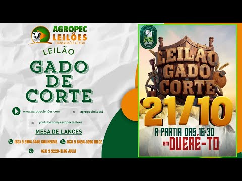 agropecleiloes.com - AO VIVO - LEILÃO GADO DE CORTE | BERRO DO BOI LEILÕES - DUERÉ -TO 21/10/2025