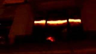 Bongo Boy in Washington, DC