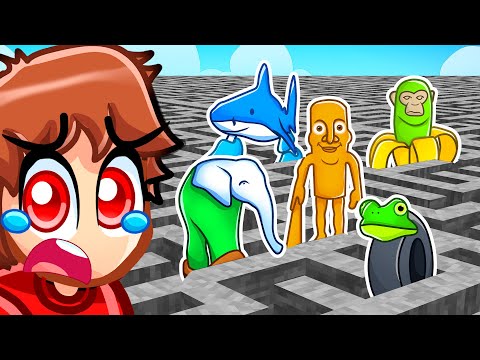 I Cheated In A 100 Player Meme MAZE Race With MY CRAZY FAN GIRLS...