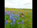 THE CUTEST VIDEO ON THE INTERNET IN 2018! THE CUTEST VIDEO ON THE INTERNET IN 2018!