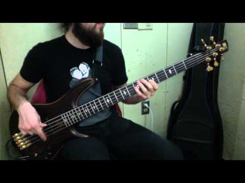 Broken Bells - The Remains of Rock & Roll (Bass Cover) [Pedro Zappa]