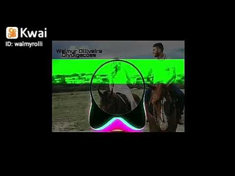 Status para whatsapp piseiro - cidade inteira eric land