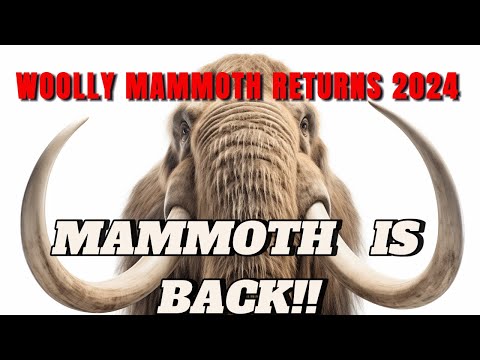 WOOLLY MAMMOTH RETURNS 2024!