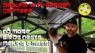 Dealing With Garden Critters - Stopping Birds From Building Nests In Your Garden