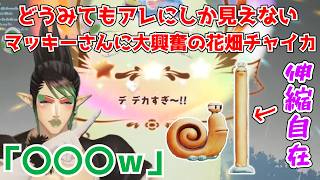 【花畑チャイカ】あまりにもアレ過ぎるキャラに大はしゃぎの花畑チャイカ【にじさんじ】