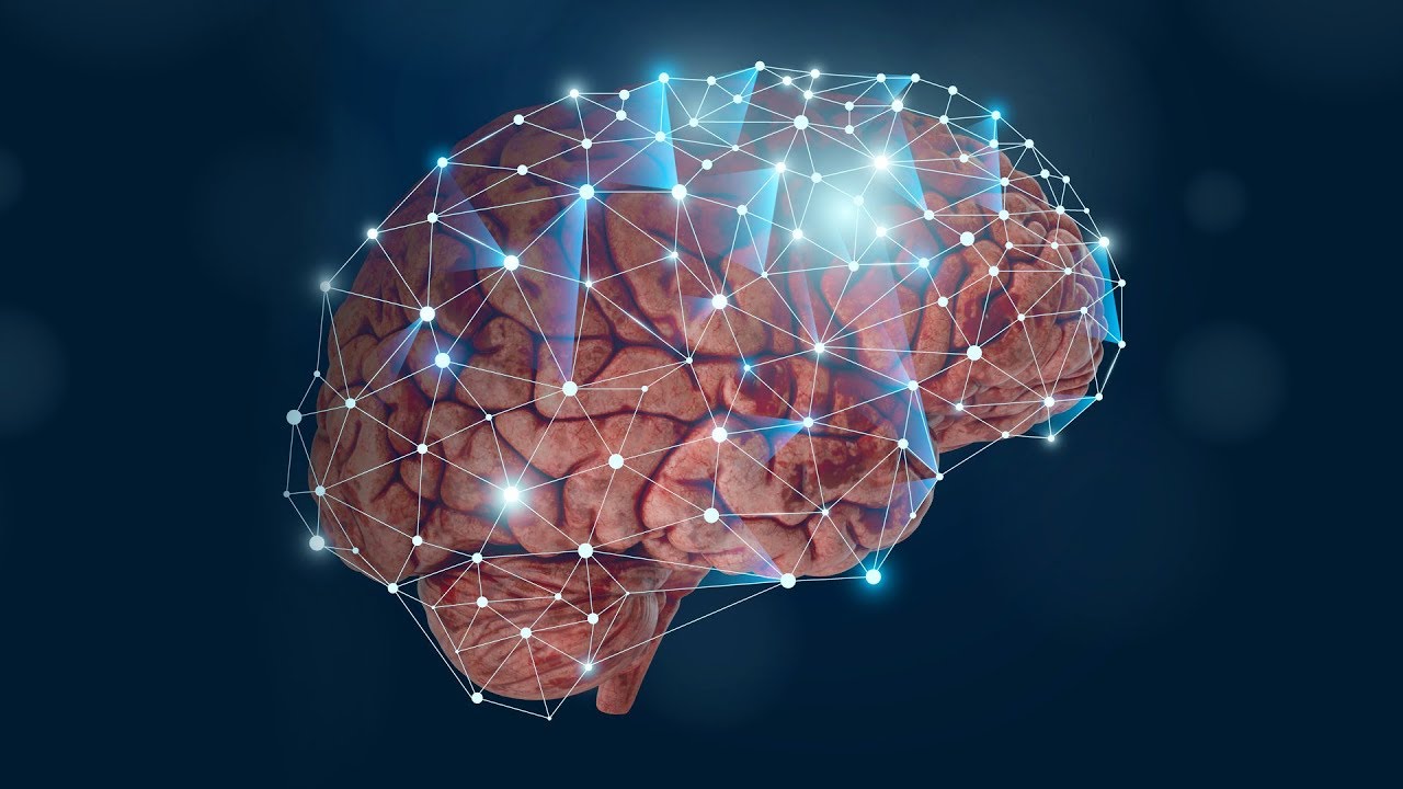 Where does long-term memory come from?