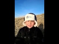 Бекзат паёт булбулдар сайрайды 