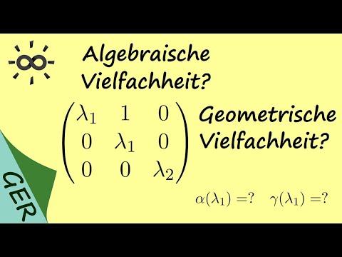 Algebraische und geometrische Vielfachheit