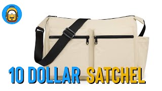 I Paid Just $10 for this Bag!
