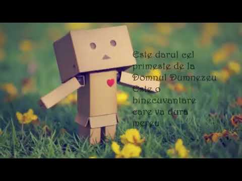 Fratii Sfara   Fericirea e in inimi