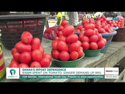 Ghana Spends $168m Annually on Tomato Imports – CSIR Researchers