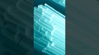 Download lagu Toothbrush under the microscope 🔬🪥 mp3