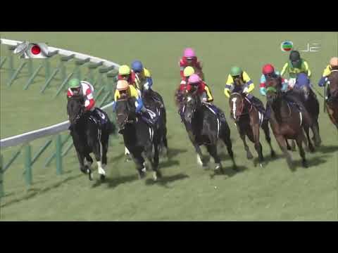 2020 Osaka Hai International Group 1 2000m