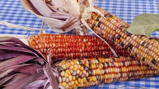Indian Corn & Cornbread | Eat Wyoming