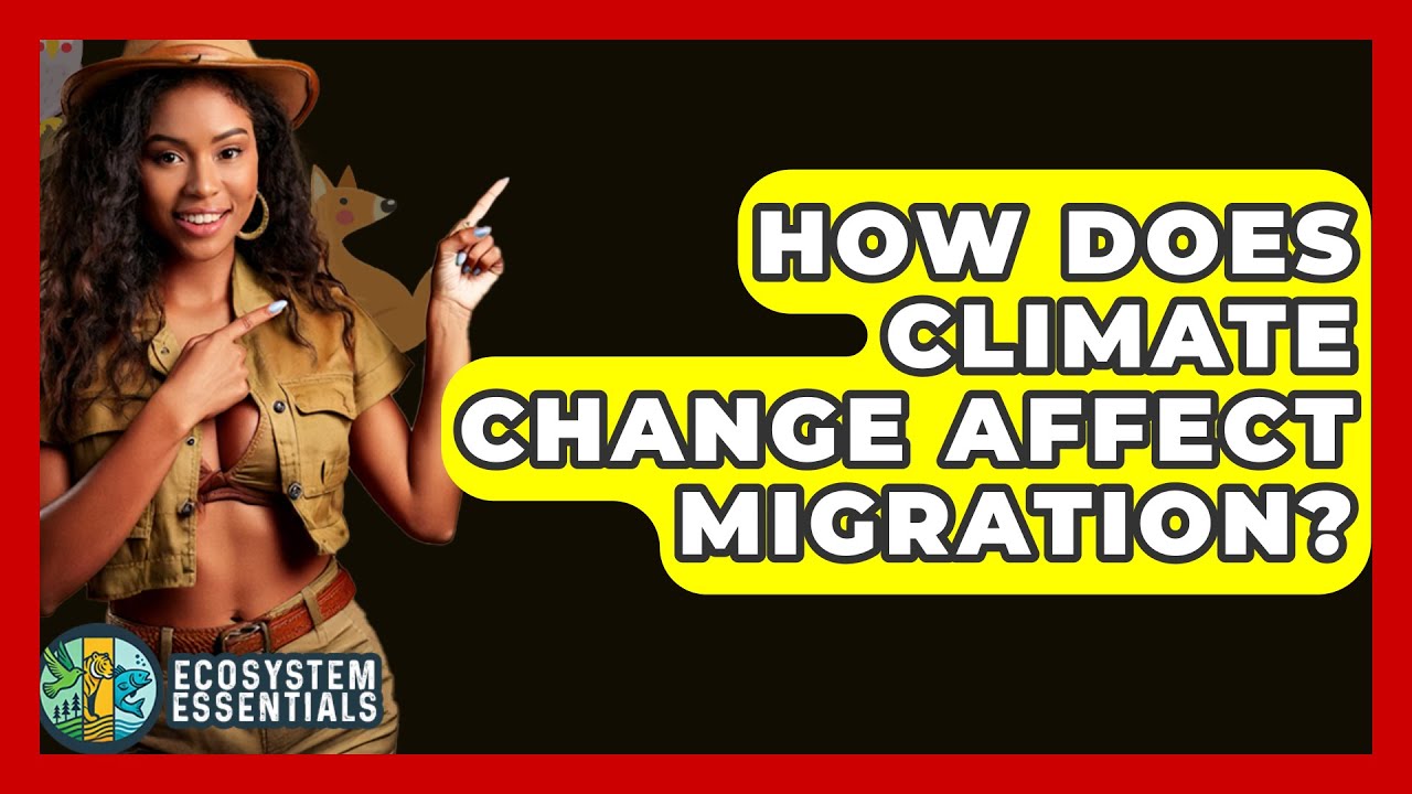 How Does Climate Change Affect Migration? - Ecosystem Essentials