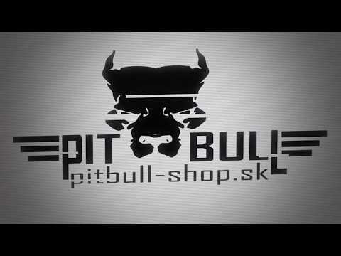 Workout dogs - Bullsport phase 2