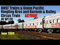 June 2009 BNSF Trains UP Circus NE WY CO Ringling Bros And Barnum Bailey Red Unit Circus Train