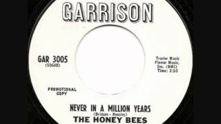 The Honey Bees - Never in a million years (Garrison).wmv