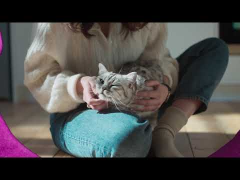 Реклама Whiskas " Жизнь замурррчательна "