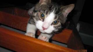 Blof - Kom Dichterbij.wmv