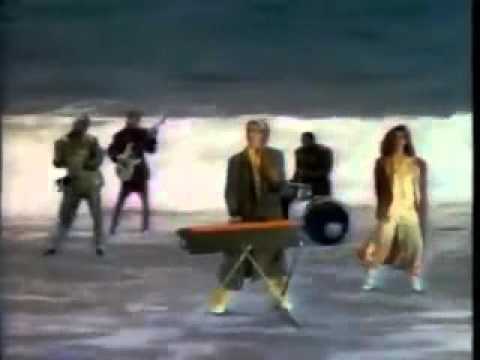 The Screams Of Passion  - The Family