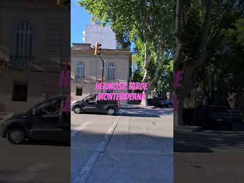 Por las calles de Montevideo #uruguay #montevideo #natural