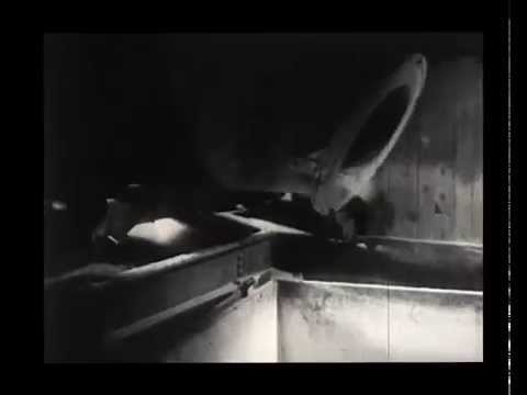 Cesare vs Disorder - Unreason (music video)