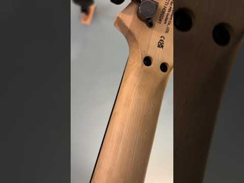 PRS SE Chleo Herman Li Signature 2025 - Present Mantis Burst image 6