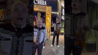 Video de Maríachi Los Toritos 