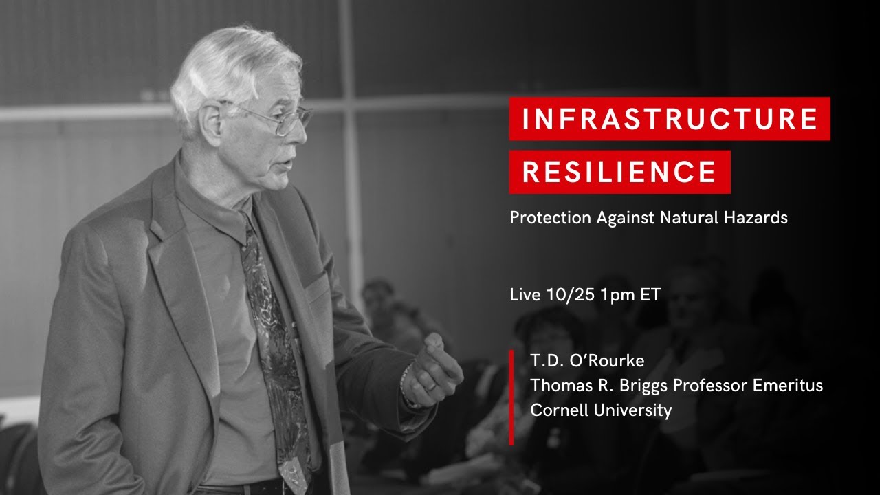 Infrastructure Resilience: Protection Against Natural Hazards