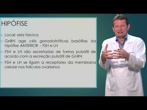 Fisiologia do Ciclo Menstrual - Ginecologia