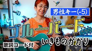 ブルーバード / いきものがかり ギター弾き語り カバー【男性キー(-5)・歌詞コード付】