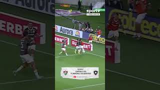 O GOL DO FLUMINENSE NA VITÓRIA SOBRE O BOTAFOGO!