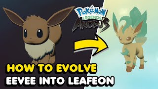 How To Evolve Eevee Into Leafeon In Pokemon Legends: Arceus (Moss Rock Location)