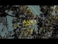 Aaina Official Visualizer Sadhna Subtle Insane Music