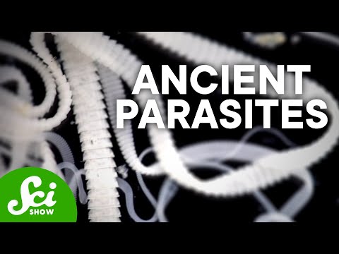 These Are the Oldest Known Parasites Humans Have Found