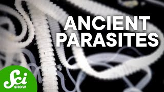 6 of the Oldest Parasites Ever Found