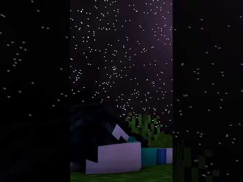 Sleeping Girl - I fall asleep together with her, looking at the night sky 💤🎵 - minecraft sleep video