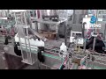 Automatic Plastic Bottle Capping Machine With Cap Sorting Feeding Prelock System