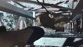 Download lagu The Deep (1977) navel scene edit mp3 Download lagu The Deep (1977) navel scene edit mp3