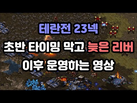 [Wave's Personal Screen] Early Timing Defense Against Terran 23 Nexus and Late Fast Liberator (Follow-up Strategy)