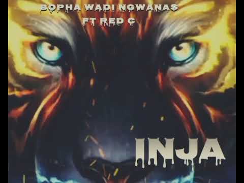 INJA , SUPER RED C ,BOPHA WADI NGWANAS,