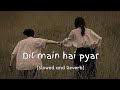 Dil main hai pyar [slowed abd Reverb] slowed music