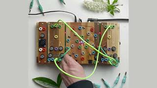 Video thumbnail for Rebirth 🌱 (Ciat-Lonbarde Cocoquantus 2 ambient) by Jure Jerebic